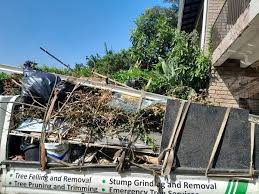Best Residential Junk Removal  in Peralta, NM